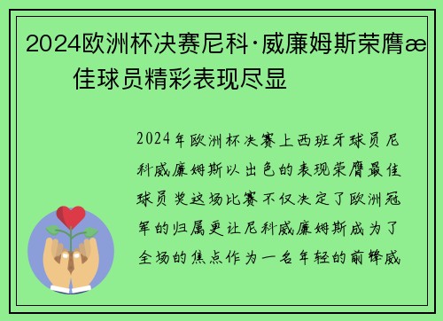 2024欧洲杯决赛尼科·威廉姆斯荣膺最佳球员精彩表现尽显 2024欧洲杯决赛尼科·威廉姆斯荣膺最佳球员精彩表现尽显